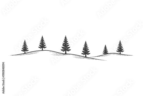 Pine trees on rolling hills in vintage engraving style vector illustration for countryside landscape and retro outdoor adventure branding graphics