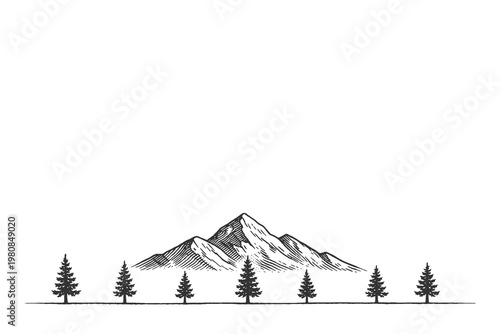 Minimalist mountain line with pine trees in vintage woodcut style vector illustration for decorative landscape borders and retro outdoor branding elements