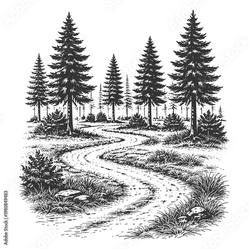 Winding road through pine forest landscape in vintage engraving style vector illustration for travel destination and retro outdoor adventure graphics