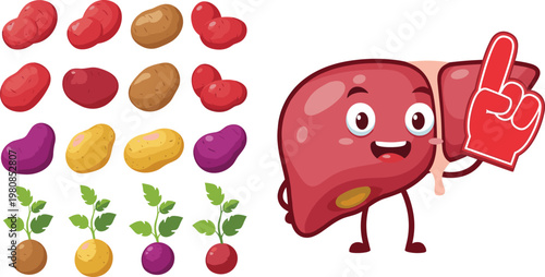 Cute Cartoon Liver Character with Healthy and Unhealthy Food Comparison, Organ Mascot Illustration Showing Nutrition, Detox, Digestion, and Medical Health Awareness Concept Design