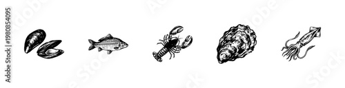 Fresh Seafood and Edible Marine Life Illustrations with Detailed Hand-Drawn Inky Brush Strokes and Engraved Hatching Aesthetic