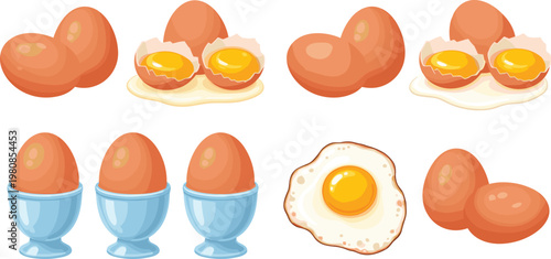 Set of Cartoon Eggs Including Whole, Cracked, and Fried Eggs in Different Stages for Use in Digital Media, Food Illustrations, and Culinary Designs