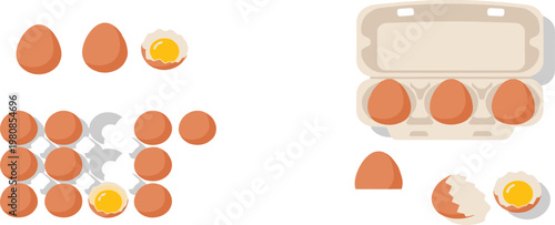 Set of Cartoon Eggs Including Whole, Cracked, and in an Egg Carton for Use in Digital Media, Food Illustrations, and Cooking Designs