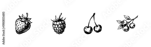 Sweet Garden Berries and Forest Fruits with Hand-Drawn Inky Doodle and Textured Sketchy Aesthetic