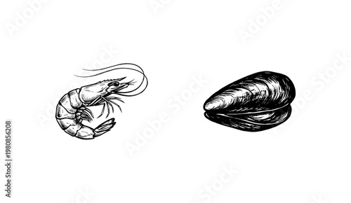 Fresh Gourmet Seafood and Marine Crustaceans with Inky Hand-Drawn Doodle and Organic Ink Strokes
