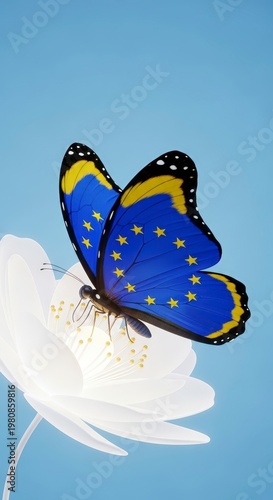 Blue butterfly on white flower.