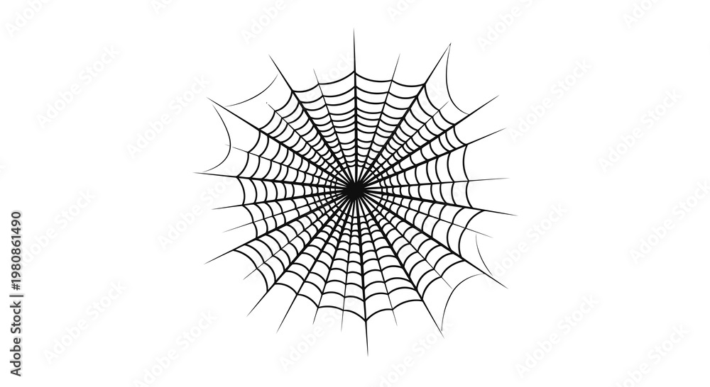 Obraz premium black and white spider web illustration minimalist geometric design vector artwork