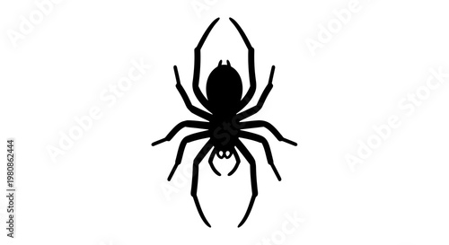 Black spider vector icon on white background for Halloween decoration