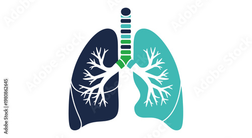 Human Lungs with Branching Airways and Circulation Elements