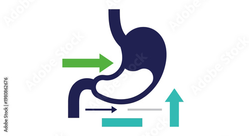 Digestive System Stomach Input Output Diagram for Gastroenterology