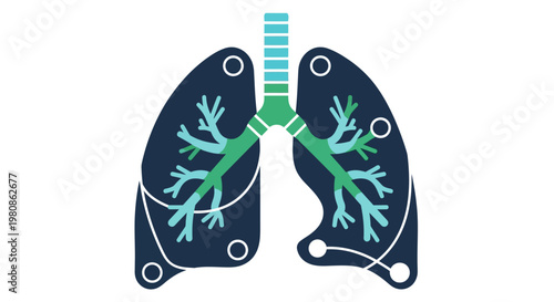 Stylized Human Lungs and Bronchial Tree Anatomy for Pulmonary Health