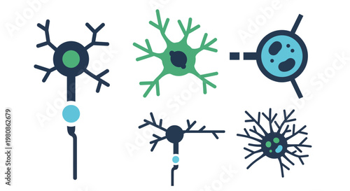 Set of Stylized Neurons with Synapses and Nerve Cells