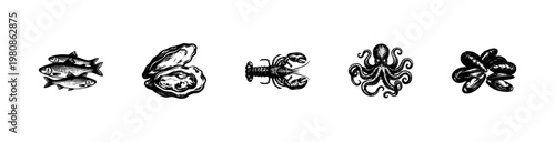 Seafood and Marine Life Species with Fluid Engraving Style and Hand-Drawn Sketchy Aesthetic