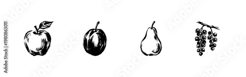 Garden Fruit and Berry Harvest Elements with Hand-Drawn Sketchy Aesthetic and Rich Inky Brush Strokes