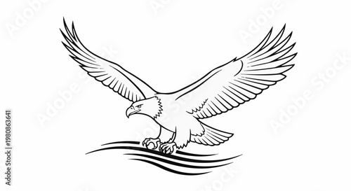 Black and white drawing of a bald eagle in flight, wings spread wide