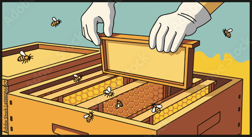 Beekeeper hands in gloves place a honeycomb frame in a hive with bees