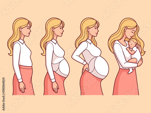 Stages of Pregnancy and Motherhood Illustration: Woman's Journey from Early Trimester to Holding a Newborn Baby
