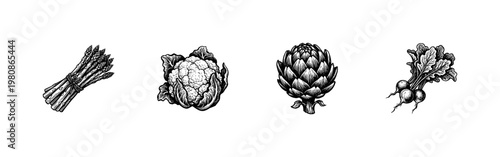 Fresh Garden Vegetables and Healthy Food Ingredients with Hand-Drawn Inky Brush Strokes and Expressive Sketchy Lines.