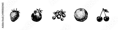 Fresh Garden Fruits and Organic Berries with Hand-Drawn Inky Outlines and Vibrant Sketchy Color Textures