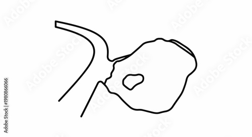 Abstract outline of a complex biological cell with internal structures