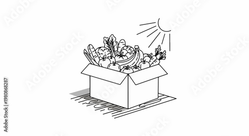 An open cardboard box overflowing with fresh fruits and vegetables under sunlight
