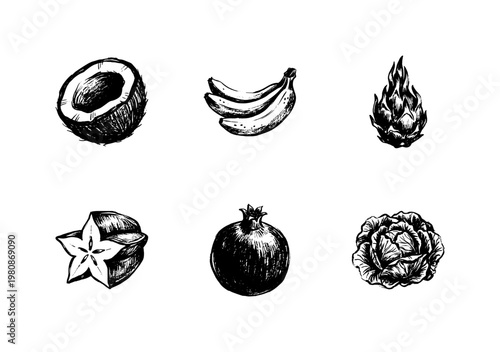 Vegan Food and Tropical Fruit Elements with Fluid Engraving Style in Hand-Drawn Sketchy Style