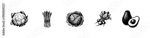 Fresh Garden Vegetables and Healthy Organic Produce with Detailed Hand-Drawn Inky Doodle and Traditional Calligraphic Ink Textures