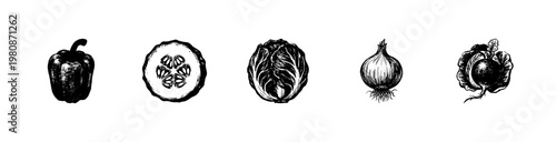 Fresh Garden Vegetables and Salad Ingredients with Fluid Engraving Style and Hand-Drawn Sketchy Style