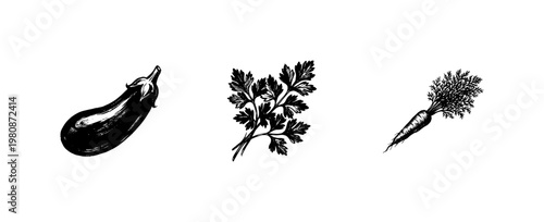 Fresh Garden Vegetables and Culinary Herbs with Inky Hand-Drawn Doodle and Organic Sketchy Calligraphic Silhouettes