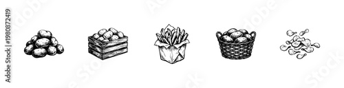 Potato Harvest and Organic Vegetable Products with Inky Doodle and Hand-Drawn Sketchy Aesthetic