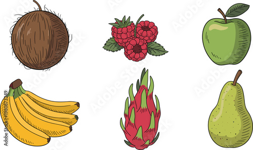 Tropical and fresh fruits set, hand drawn food collection vector illustration for healthy diet, organic market