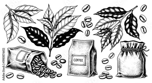 Coffee bean and bag doodle set with roasted beans, leaves, and hand-drawn sketch style for café branding