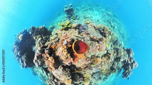 Underwater view of vibrant coral reef and diverse marine life in clear blue waters off Snake Island, El Nido, Palawan, ideal for diving, snorkeling and nature travel in Philippines islands