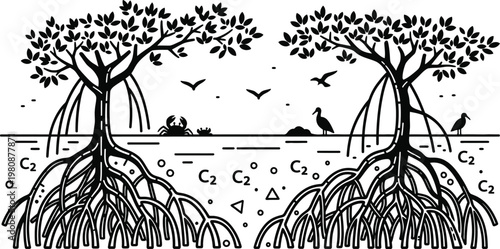 Celebrating world environment day mangrove forest illustration for ecosystem conservation and sustainable living
