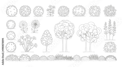 Detailed CAD Collection of Landscape Elements Top View and Side View Illustrations for Architectural and Garden Design Plans, Featuring Trees, Shrubs, and Plants