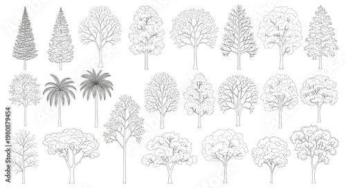 Extensive CAD-ready vector outlines of diverse tree species, perfect for architectural site plans, landscape design, and urban planning projects requiring detailed botanical elements
