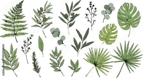 Botanical leaf collection with green tropical foliage and olive branches, hand drawn floral vector set of 18 elements, organic greenery for wedding decor