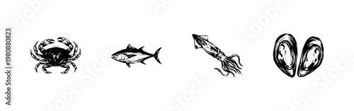 Fresh Seafood and Ocean Shellfish Collection with Hand-Drawn Inky Doodle and Detailed Engraved Hatching Style