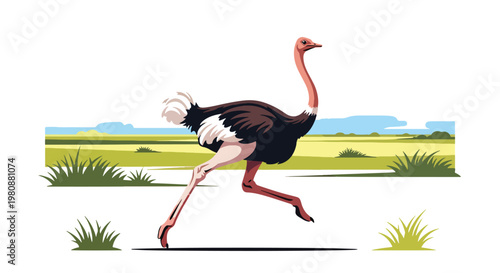 Flat style illustration of ostrich running in open savanna with grass and horizon, representing speed, wildlife diversity, and natural safari environment