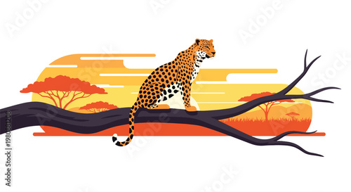Photography Flat style illustration of leopard sitting on tree branch in savanna with sunset