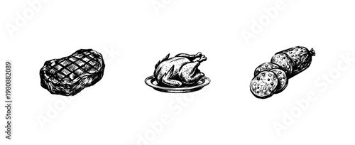 Meat and Seafood Protein Variety with Organic Engraving Style and Hand-Drawn Calligraphic Ink Style