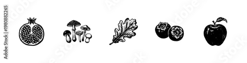 Autumn Harvest Nature Elements and Seasonal Forest Finds with Hand-Drawn Sketchy Aesthetic and Fluid Engraving Style