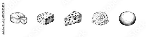 Gourmet Cheese Varieties and Dairy Products with Inky Brush Strokes in Hand-Drawn Sketchy Style