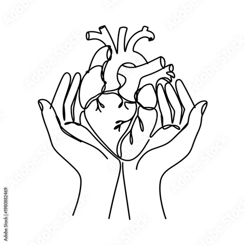 Line drawing of two hands holding a human heart  minimalist  simple