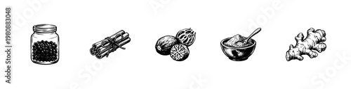 Culinary Spices and Aromatic Herbs Kitchen Ingredients with Hand-Drawn Inky Doodle and Organic Calligraphic Ink Strokes.