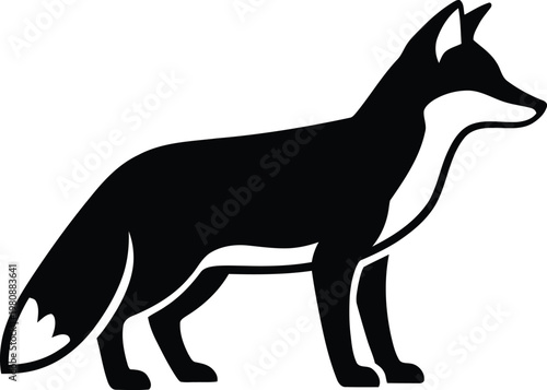 Black silhouette of a fox standing on a white background animal mammal wild