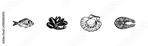 Seafood and Marine Life Culinary Ingredients with Inky Brush Strokes and Hand-Drawn Sketchy Aesthetic