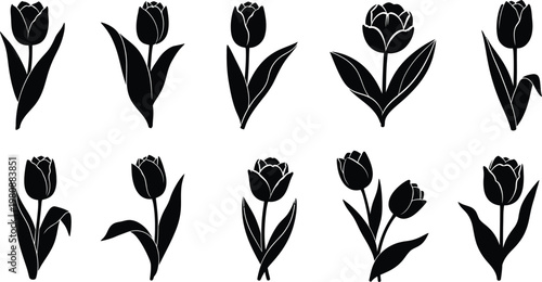 Collection of ten black silhouette tulip with leaves flower botanical