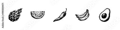 Fresh Fruits and Organic Vegetable Harvest Elements with Hand-Drawn Inky Doodle and Fluid Calligraphic Outlines