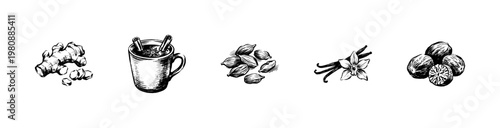 Masala Chai Spices and Herbal Tea Ingredients with Inky Hand-Drawn Doodle and Fluid Calligraphic Strokes